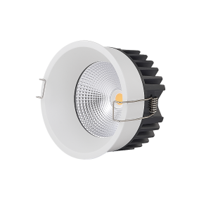 MONITOR 30 L 165 COB