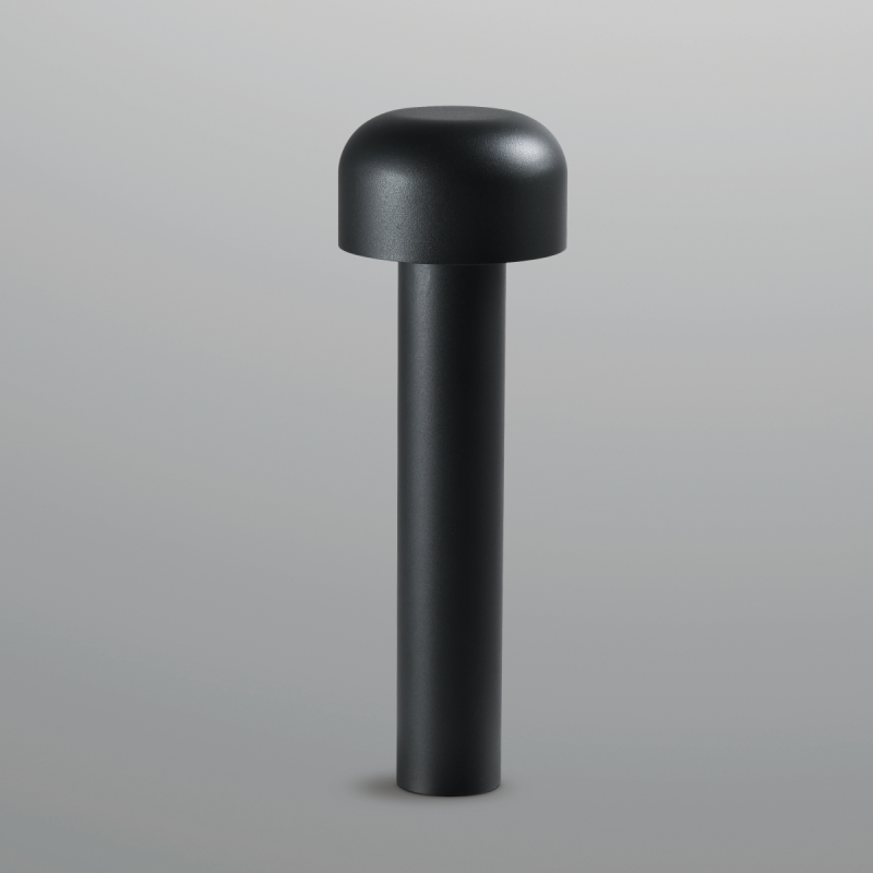 MUSHROOM 7 383