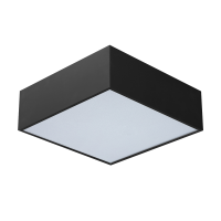 SOLO 12 SQ