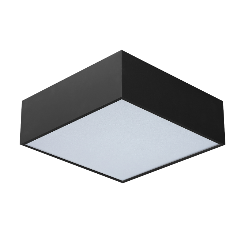 SOLO 12 SQ